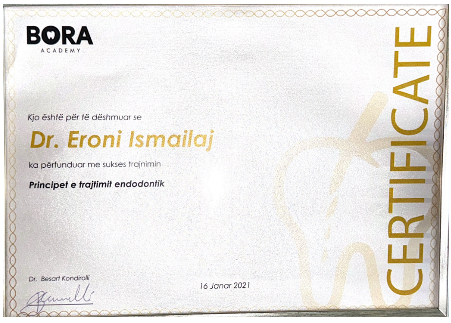 Screenshot from 2024 09 08 17 22 09 - Ismailaj Dental - Problemi juaj i dhëmbëve, merr fund me ne.